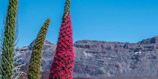 Tijarafe - znakomita podczas wypoczynku o każdej porze roku. Odwiedź La Palma.